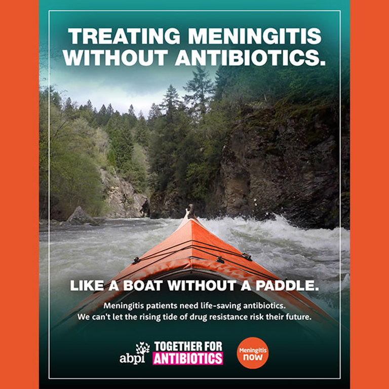 Boat without a paddle - still